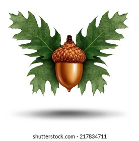 Savings investment freedom as an acorn flying up using leaves shaped as butterfly wings as a financial business symbol for future wealth growth success or growing your saved money.