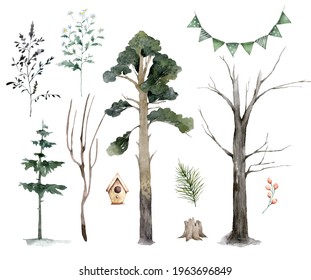 Scandinavian Watercolor natural set of green trees, birch and pine, mountain ash, forest. Winter vintage collection isolated on white background. Woodland set
