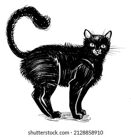 Scared Black Cat. Ink Black And White Drawing