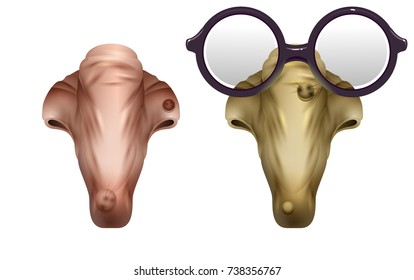 Scary Realistic Mask Witches Nose. Glasses And Nose With Wart. Halloween Accessory. Isolated On White Cartoon Illustration