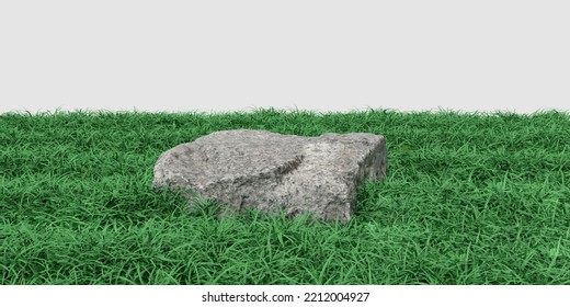 Scene Creator Of White Platform In Grass. 3D Render