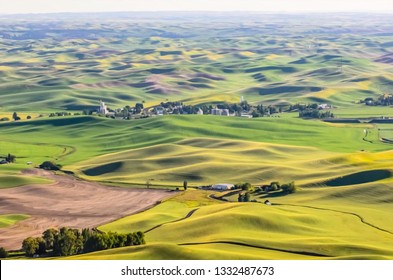 Scenic Aerial View Of Small Farm Town Surrounded By Green Wheat Fields On Rolling Hills In The Palouse Region Of Western Washington, USA, Near Sunset In Spring, With Digital Oil-painting Effect