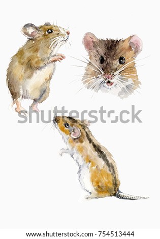Scetch of a brown mouse