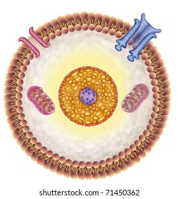 Schematic illustration of a cell and receiving channels