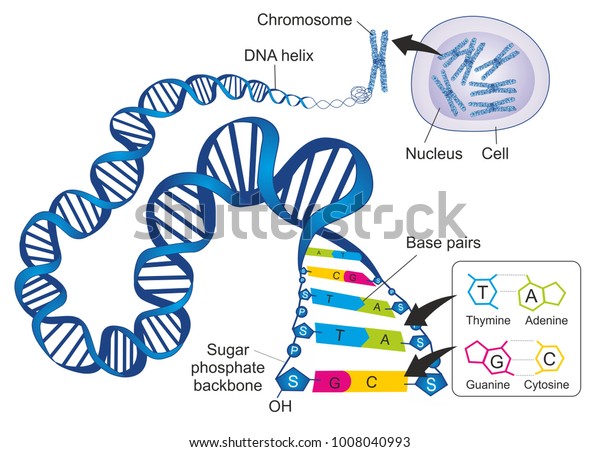 shutterstock