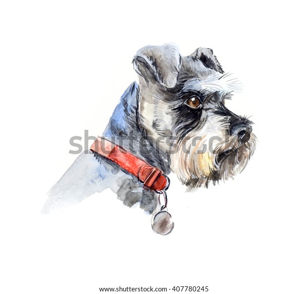 シュナウザー 犬のポートレート 小さな犬をセット 水彩手描きのイラスト のイラスト素材