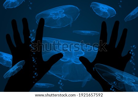 Similar – Image, Stock Photo Under the sea… Sea water