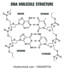 Science Icon DNA Molecule Structure. Image DNA Molecule