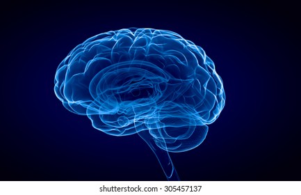 Science image with human brain on blue background