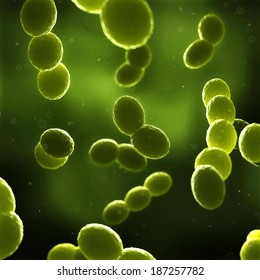 Scientific Illustration - Streptococcus Bacteria