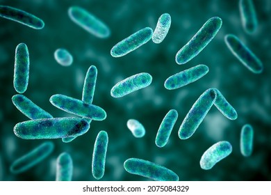 Scientific image of bacteria Citrobacter, Gram-negative bacteria from Enterobacteriaceae family, 3D illustration. Found in human intestine, can cause urinary infections, infant meningitis and sepsis