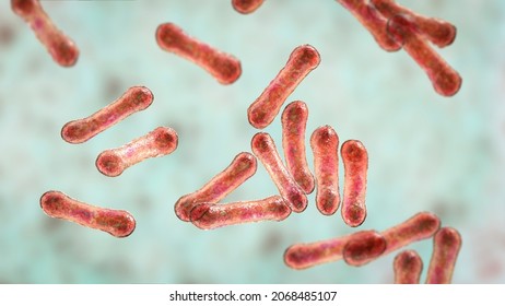 Imagen científica de bacterias Corynebacterium que ilustración de stock