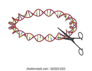 Scissors Cutting DNA Strand, Genetic Engineering, 3D Render, Isolated On White