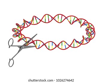 Scissors Cutting DNA Strand, Genetic Engineering, 3D Render, Isolated On White