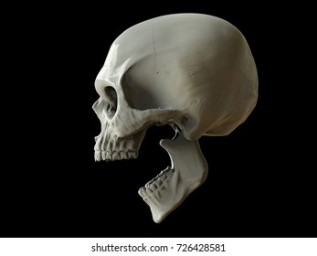 Screaming Skull Of Death - 3D Illustration