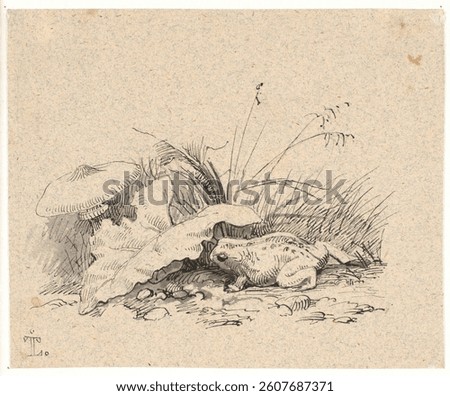 The scrub toad by Johan Thomas Lundbye. Vintage art illustration. Beautiful vintage drawing. Hand drawn art illustration.