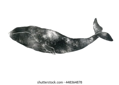 Sea animals black and white. Realistic engraved style of Sea animals on white background. Hand drawn grunge illustration of whale. Grampus. 