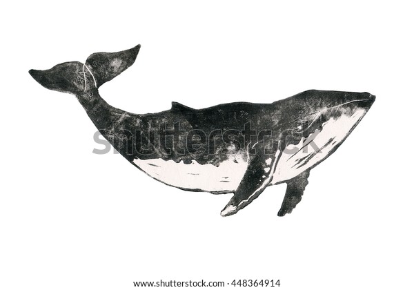 Sea Animals Black White Realistic Engraved Stock Illustration