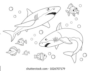 Sharks Coloring Book Images Stock Photos Vectors Shutterstock