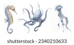Sea animals. Watercolor illustration with Seahorse, Jellyfish and Octopus on isolated background. Drawing of Marine life with sea horse in pastel blue and orange colors. Sketch of ocean wild fauna.