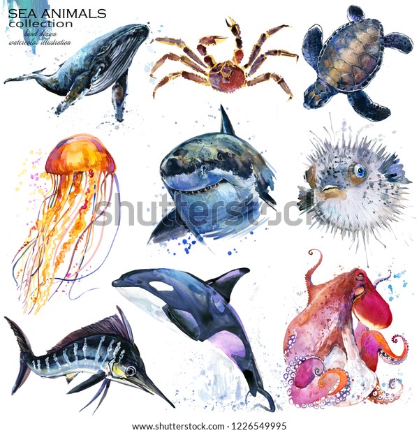 海の動物の水彩イラストセット 鯨 カニ ウミガメ クラゲ サメ 魚 マーリンオルカ タコ のイラスト素材