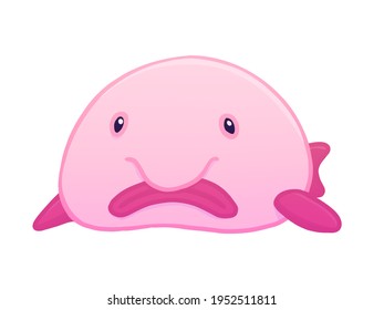 Cartoon Blobfish Wallpaper - Dolmetcher