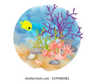 Sea bottom  Watercolor composition  Coral reef  shellfish  tropical fish  Illustration for logo  label  poster  print  postcard  stationery 