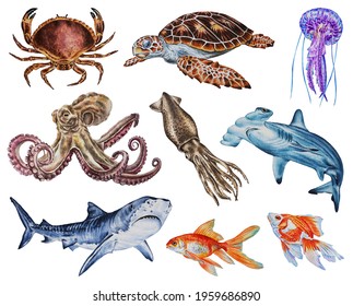 Sea collection with octopus, crab, turtle, squid, sharks, jellyfish, fish. Set with underwater creatures in a watercolor style isolated on white background. Illustration. Hand drawn. 