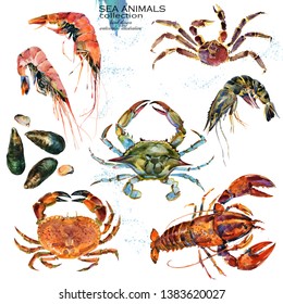 sea crustacean animals. marine fauna watercolor illustration. Seafood set. crab. Shrimp. Mussels oysters Lobster