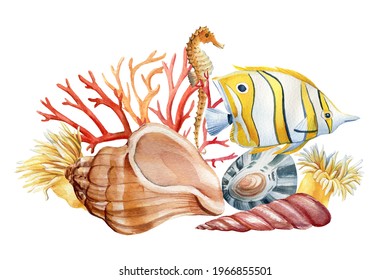 Sea fish, seahor and seashells on an isolated white background. Watercolor illustration, Marine design, postcards. High quality illustration