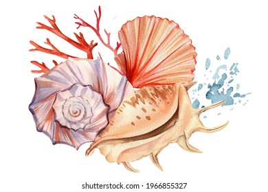Sea fish and shells on an isolated white background. Watercolor illustration, Marine design, postcards. High quality illustration