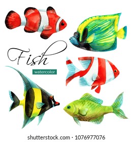 Sea Fish, Watercolor Set