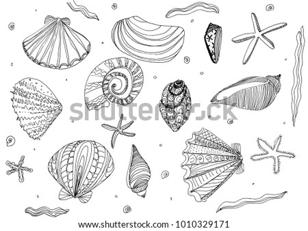 Sea Floor Drawing By Hand Background Stock Illustration 1010329171