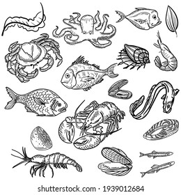 Sea Food. Hand-drawn Sketch In A Graphic Style.