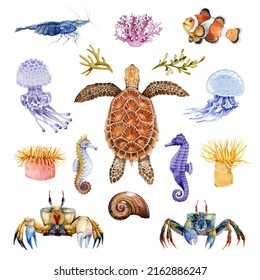 Sea Life Animals Watercolor Set. Hand Drawn Turtle, Crab, Coral Fish, Seahorse, Jellyfish Illustrations. Bright Coral Sea Life Animal Set. Tropical Marine Wildlife Elements