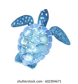 Sea Life. Watercolor Sea Turtle Isolated On White Background