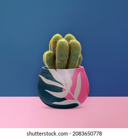 Sea Sand Cactus Mockup In A Pot