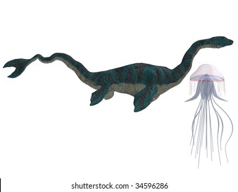 Sea Serpent And Jellyfish