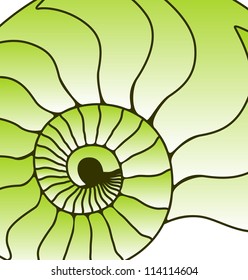 Sea shell