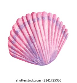 Sea Shell Pink Violet Watercolor Illustration