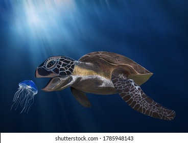 Sea Turtle Eating Jellyfish Painted Watercolor Style, Digital Painting