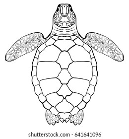 Turtle Stock Vector (Royalty Free) 121746808