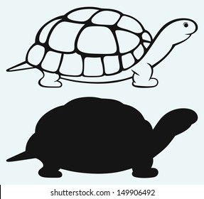Sea turtle isolated on blue background. Raster version