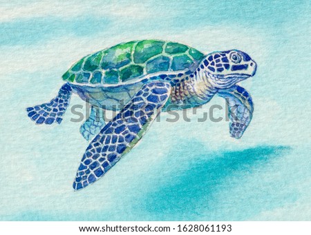 Sea turtle. Ocean wildlife animals. Watercolor painting.