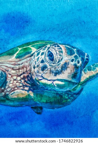 Sea Turtle. Ocean wildlife animals. Watercolor painting.