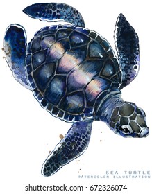 Sea Turtle Watercolor Illustration.