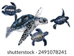 Sea Turtle watercolor illustration. Ocean animal