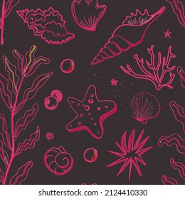 Seabed Plants, Algae, Starfish And Shells. Ocean, Sea, River