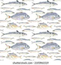 Seafood Sardines Fish Mackerel, Dorado, Capelin Isolated On White Background. Marine Food Fish. Seamless Pattern. Hand Drawn Watercolor Drawing Illustration. For Wrapping, Wallpaper, Fabric Texture.