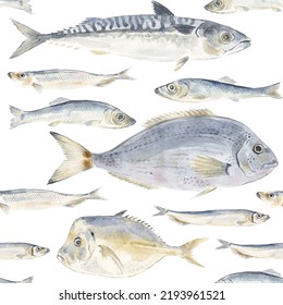 Seafood Sardines Fish Mackerel, Dorado, Capelin Isolated On White Background. Marine Food Fish. Seamless Pattern. Hand Drawn Watercolor Drawing Illustration. For Wrapping, Wallpaper, Fabric Texture.